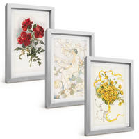 BILDER SET 3er Set - 20x30 cm Silberner Rahmen - Rosen rot-weiße Form - Silberfarben, Kunststoff (20/30cm) - TULUP
