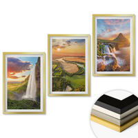WANDBILDER 3er Set - 40x60 cm Goldrahmen - Wasserfälle Landschaften im Westen - Goldfarben, Kunststoff (40/60cm) - ArtPrintCave