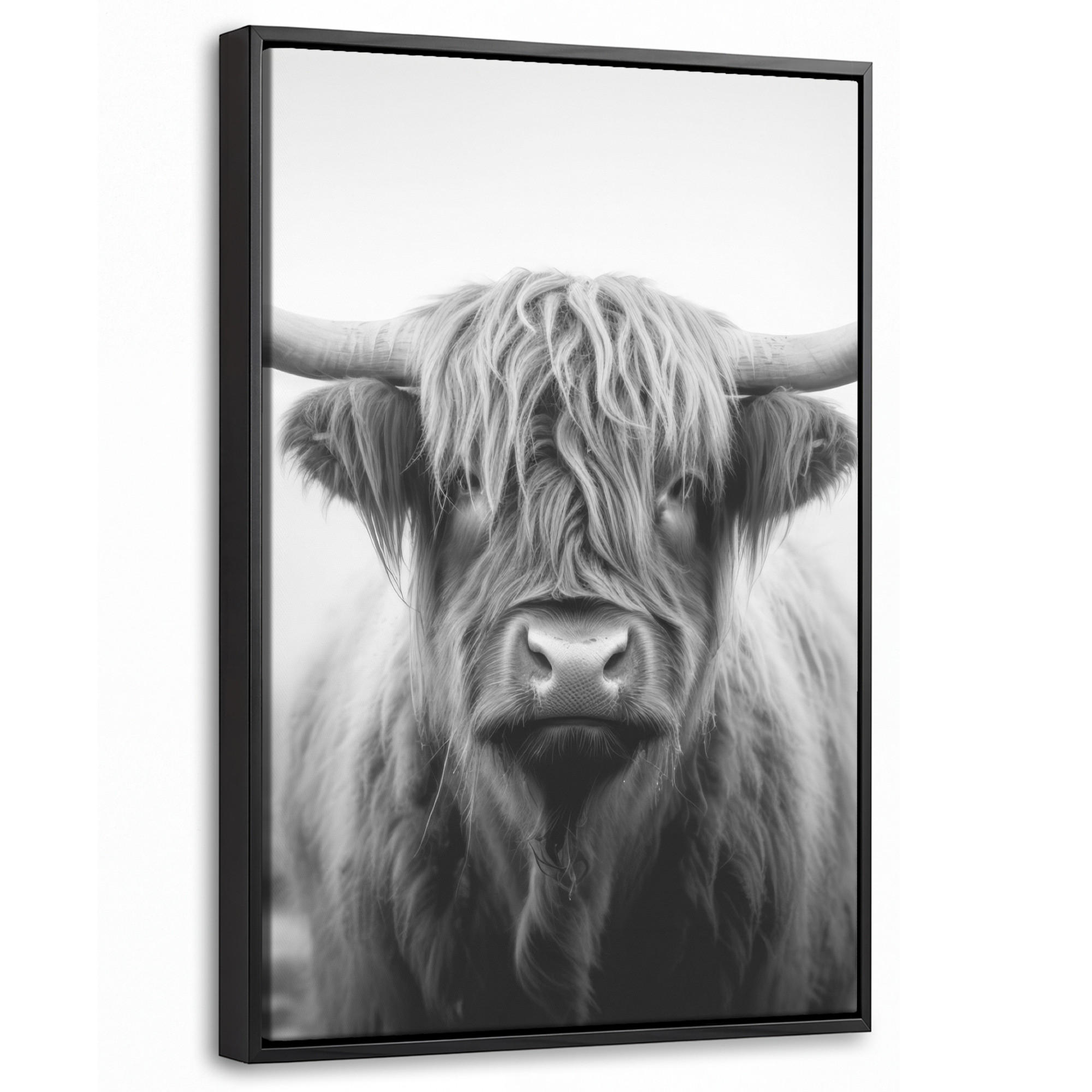 LEINWAND Bilder mit Rahmen - Schottischer Highlander - Nebel - Schwarz - Weiß - 20x30 - Grau, Textil (20/30cm) - MuchoWow
