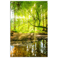POSTER Wald - Landschaft - Wasser - Bäume - Sonne - Grün - Natur 80x120 cm - Grün, Papier (80/120/0.1cm) - MuchoWow