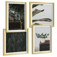 BILDER SET 4er Set - 50x50 cm & 40x60 cm Goldrahmen - Rustikale Topfpflanzen - Goldfarben, Kunststoff (50/50cm) - TULUP