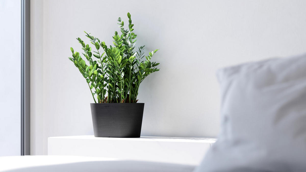 BLUMENTOPF Tokyo 30/17/17 cm Dunkelgrau - Dunkelgrau, Kunststoff (30/17cm) - Ecopots