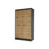 SCHWEBETÜRENSCHRANK Diego IV - Schwarz/Eiche Artisan, Holzwerkstoff/Metall (100/200/58cm) - MIRJAN24