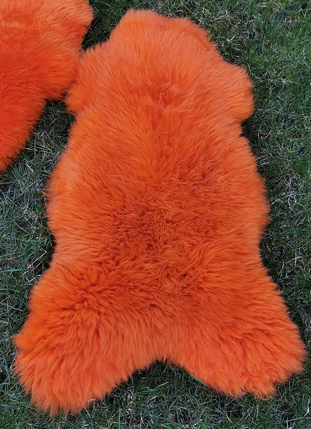 LAMMFELL Öko bunt gefärbt weich Fell Teppich Orange ca. 90 cm - Orange, Fell (50/90cm) - Provellus