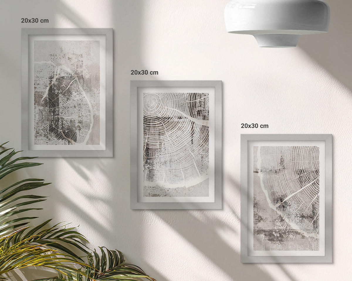 BILDER SET 3er Set - 20x30 cm Silberner Rahmen - Graue Holzmaserungsmuster - Silberfarben, Kunststoff (20/30cm) - TULUP