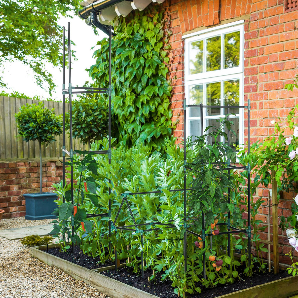 RANKHILFE, 3er-Set, Pflanzenhalter mit 3 Ebenen, für Kletterpflanzen, Stahl, Grün - Dunkelgrün, Kunststoff/Metall (38/182/38cm) - Outsunny