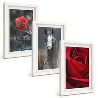 BILDER SET 3er Set - 20x30 cm Weißer Rahmen - Rote Rosen, Pferdegrau, Welt - Weiß, Kunststoff (20/30cm) - TULUP