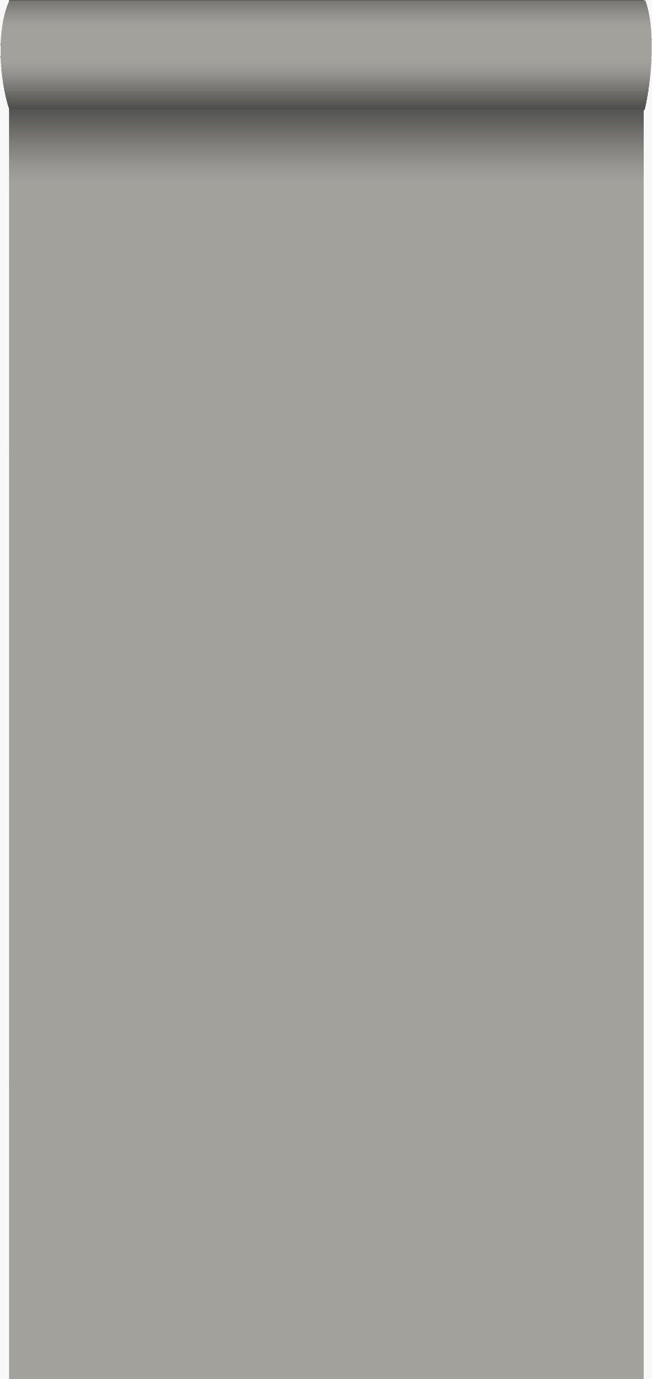 TAPETE Uni 53 cm x 10.05 m - Grau, Papier (53/1000cm) - Origin Wallcoverings