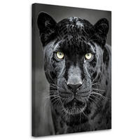 BILD auf Leinwand, Schwarzer Panther Tiere Natur - Schwarz, Textil (20/30cm) - Feeby