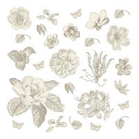 WANDTATTOO Blumen 30 x 30 cm - Grau, Papier (30/30/30cm) - Sanders & Sanders