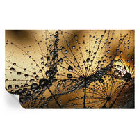 FOTOTAPETE 416x254 cm - Zarte Tropfen - Weiß, Textil (416/254cm) - Wallfluent