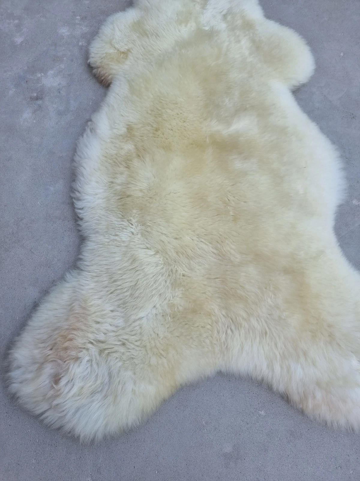 SCHAFFELL Premium Lammfell Natur ungeschoren weiche Wolle Vegetable gegerbt ca. 105 cm - Weiß Hochglanz, Fell (55/105cm) - Provellus