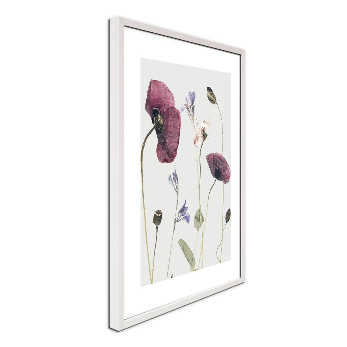 POSTER mit Rahmen 40x50 cm Mohn-Blumen rosé natur - Beige, Holz (41/51cm) - artissimo