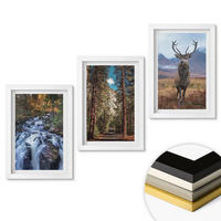 WANDBILDER 3er-Set - 20x30 cm Weißer Rahmen - Wasserfall Wald Berge Hirsch Natur - Weiß, Kunststoff (20/30cm) - ArtPrintCave