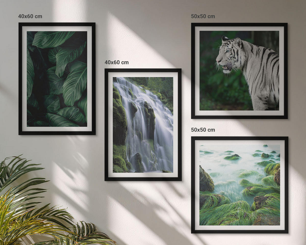 WANDBILDER 4er-Set - 50x50 cm & 40x60 cm Schwarzer Rahmen - Blätter des Weißen Tigerwasserfalls - Schwarz, Kunststoff (50/50cm) - ArtPrintCave