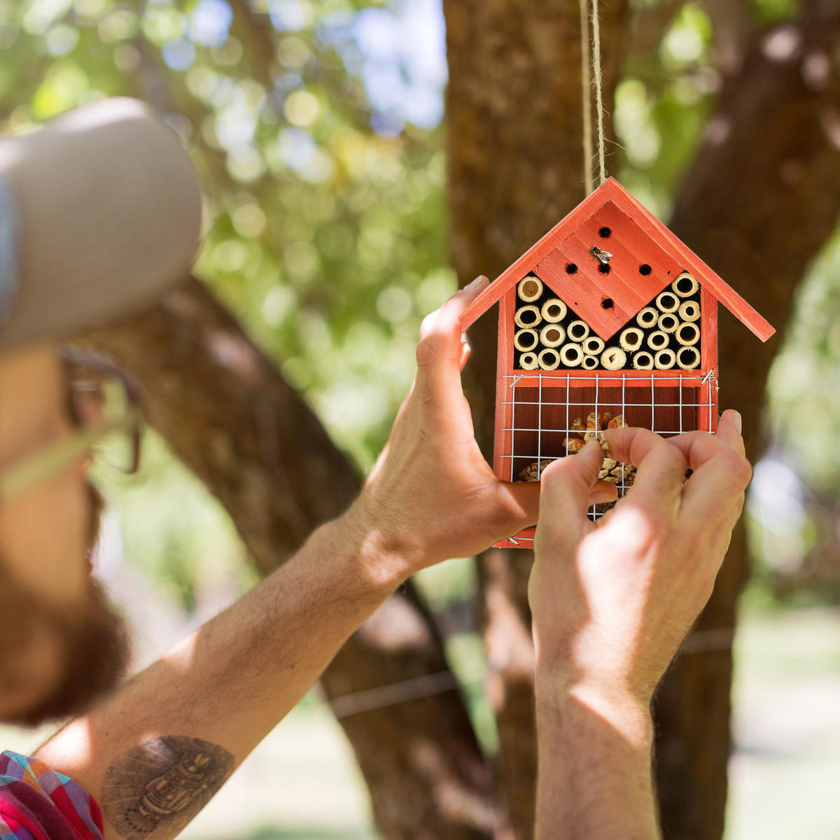 INSEKTENHOTEL - Orange, Holz (17.5/21/9cm) - Relaxdays