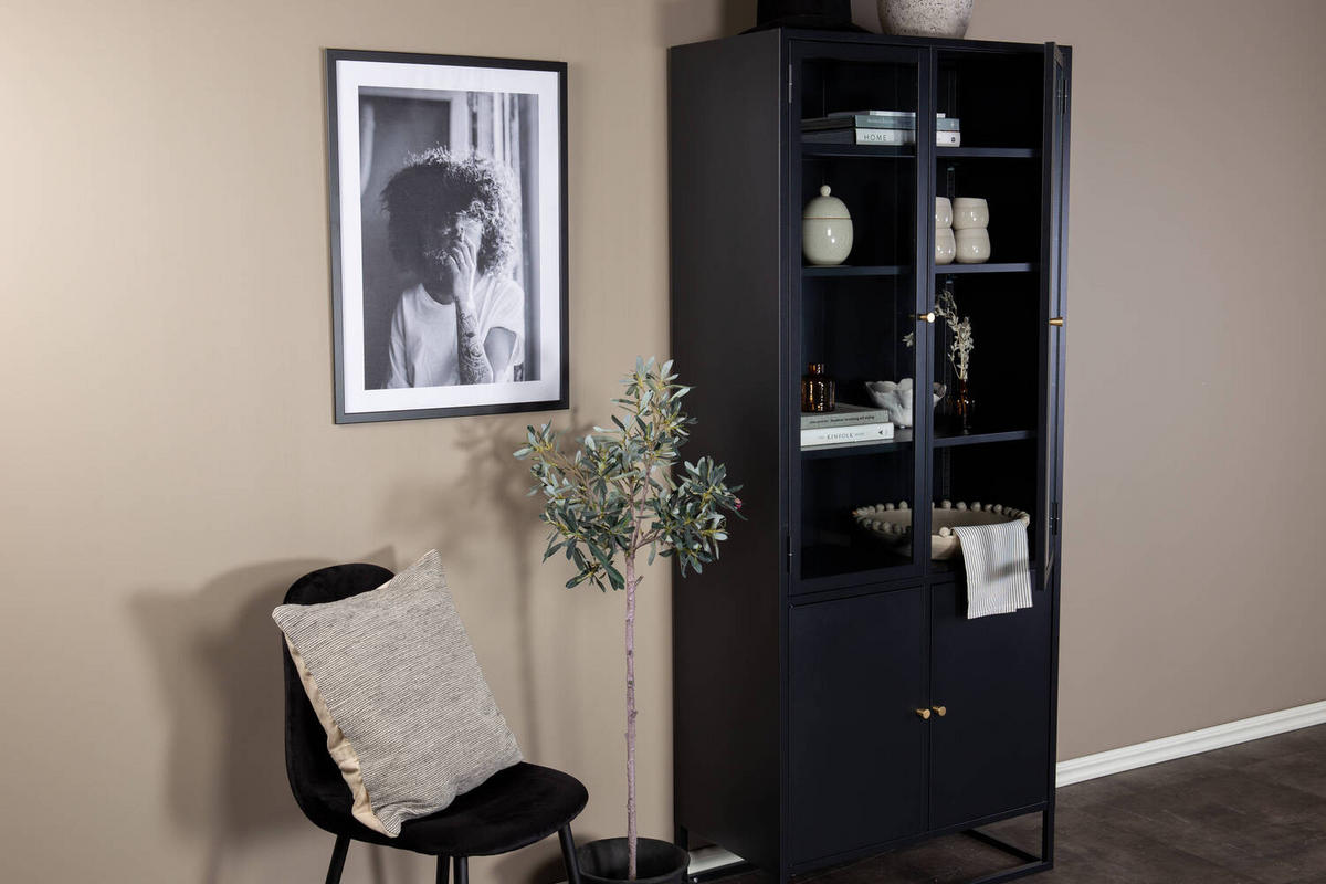 VITRINENSCHRANK Baku L - Schwarz, Metall (80/190/40.5cm) - kommodly
