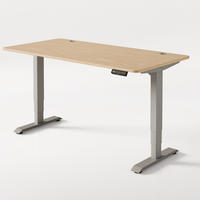 SCHREIBTISCH Elektrisch Höhenverstellbarer HomePro 160x80cm Grau/Bambus mit Memory-Funktion, Anti-Kollisions Technologie - Hellgelb/Grau, Holz (80/160/63.5cm) - Desktronic