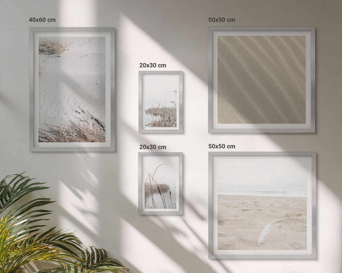 WANDBILDER 5er Set - 50x50 cm & 20x30 cm & 40x60 cm Silberner Rahmen - Vegetation am Wasser im Sommer - Silberfarben, Kunststoff (40/60cm) - ArtPrintCave