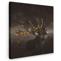 LEINWANDBILD Rotwild - Schwarz - Gold 20x20 cm - Braun, Textil (20/20cm) - MuchoWow