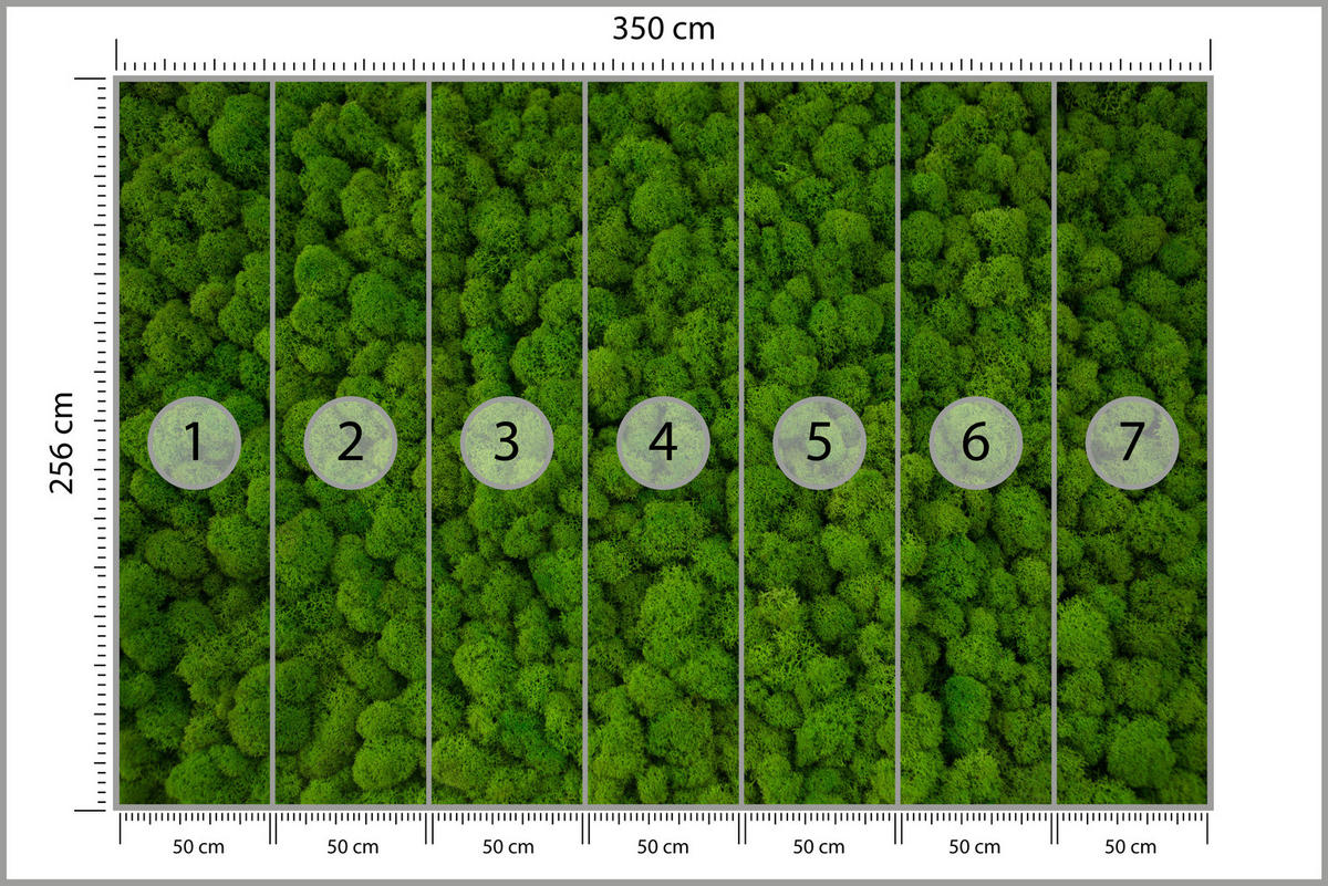 FOTOTAPETE für Jugendzimmer Dekorativer Grüner Moos Modern 350x256 - Grün, Papier (350/256cm) - Muralo