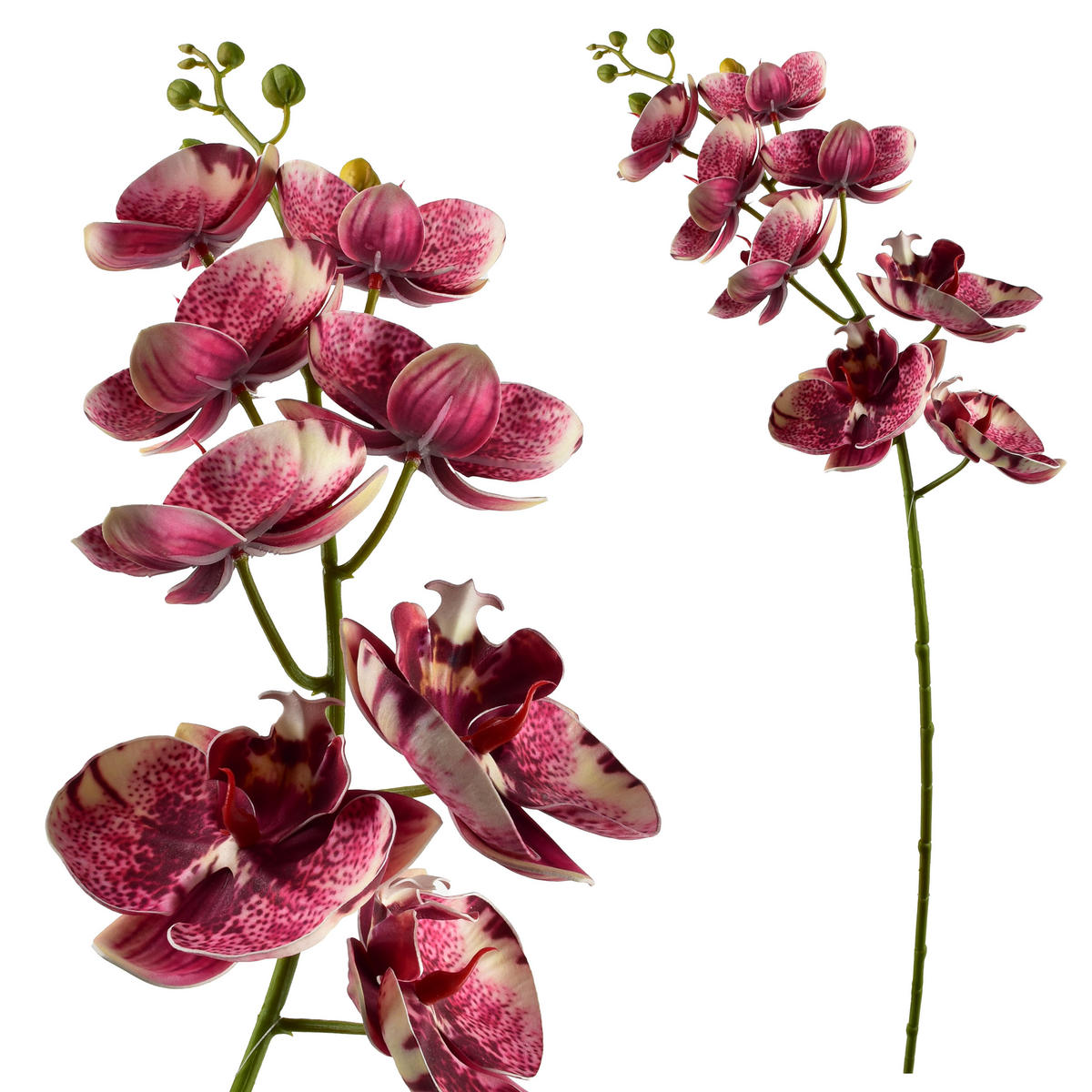 UMĚLÁ KVĚTINA Orchidej - bílá, plast (85cm) - Mondex