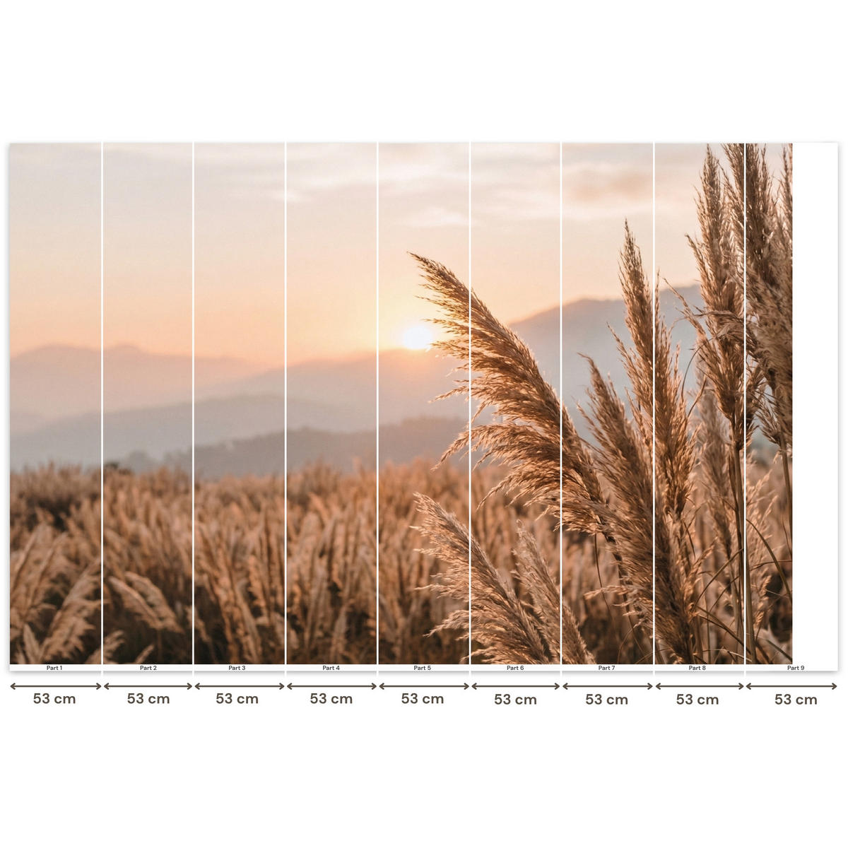TAPETE - Gras - Feld - Sonne - Natur - 450x300 cm - Sandfarben, Papier (450/300cm) - OnlyWow