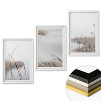 WANDBILDER 3er-Set - 40x60 cm Weißer Rahmen - Wasserpflanzen im Sommer - Weiß, Kunststoff (40/60cm) - ArtPrintCave