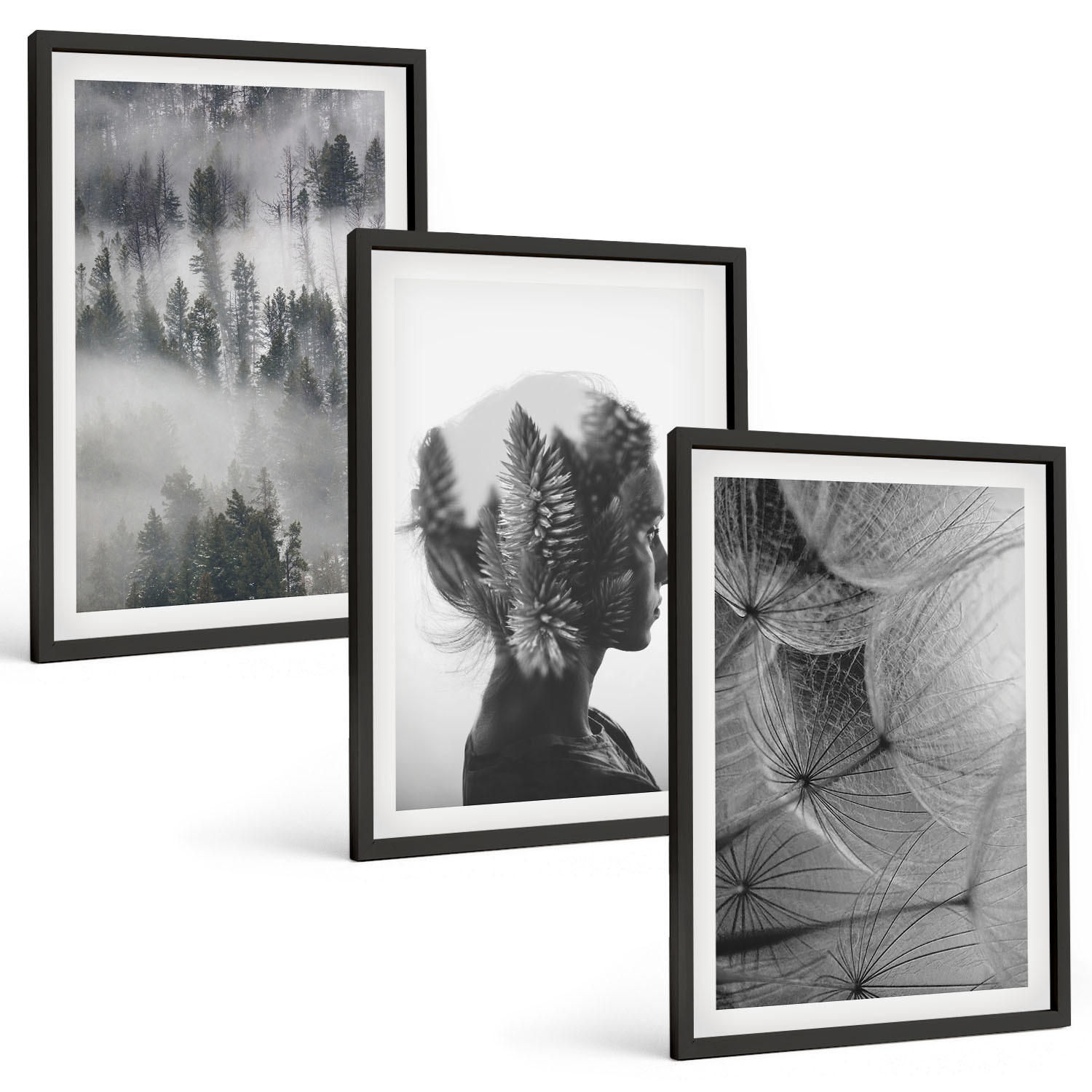 BILDER SET 3er Set - 40x60 cm Schwarzer Rahmen - Waldnebelporträt Baum Löwenzahn - Schwarz, Kunststoff (40/60cm) - TULUP