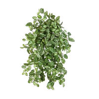 KUNSTPFLANZE Künstliche Hypoestes - Efe 50cm - Grün, Kunststoff (50cm) - aplanta