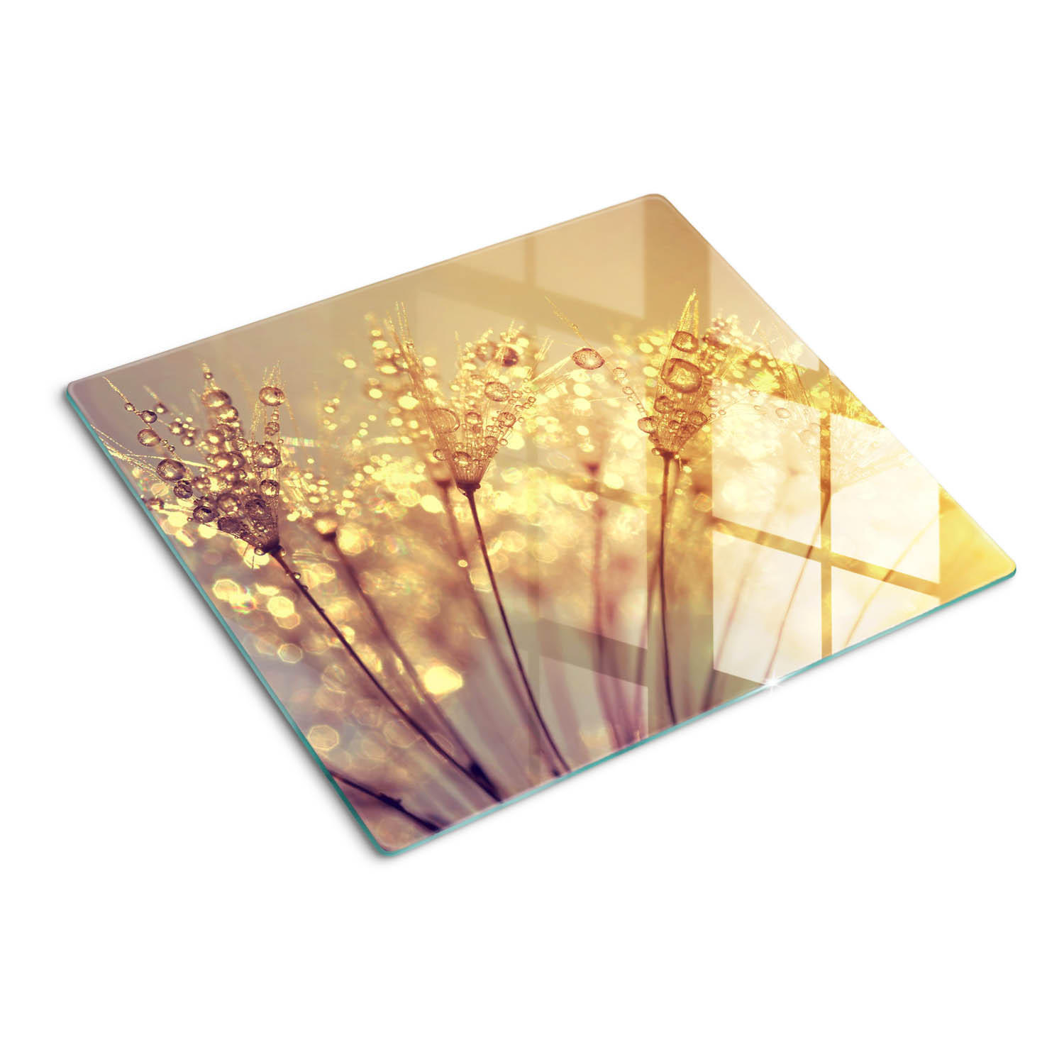 GLASPLATTE 60x52 cm Löwenzahn - Beige, Glas (60/0.4/52cm) - TULUP