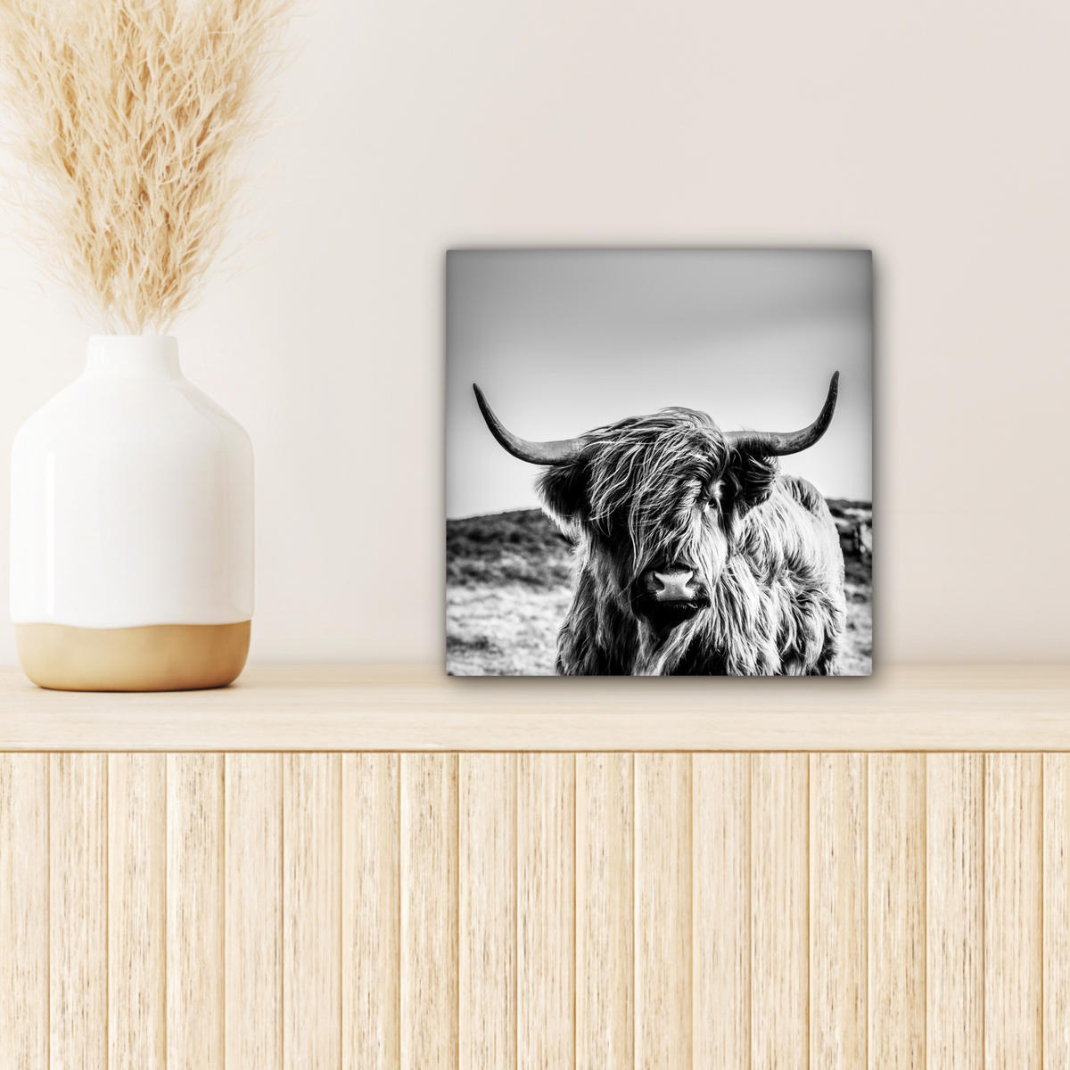 OBRAZ NA PLÁTNĚ Kráva - Skotský horal - Černá - Bílá - Zvíře - Příroda - Divoká zvěř 20x20 cm - černá, textil (20/20cm) - MuchoWow
