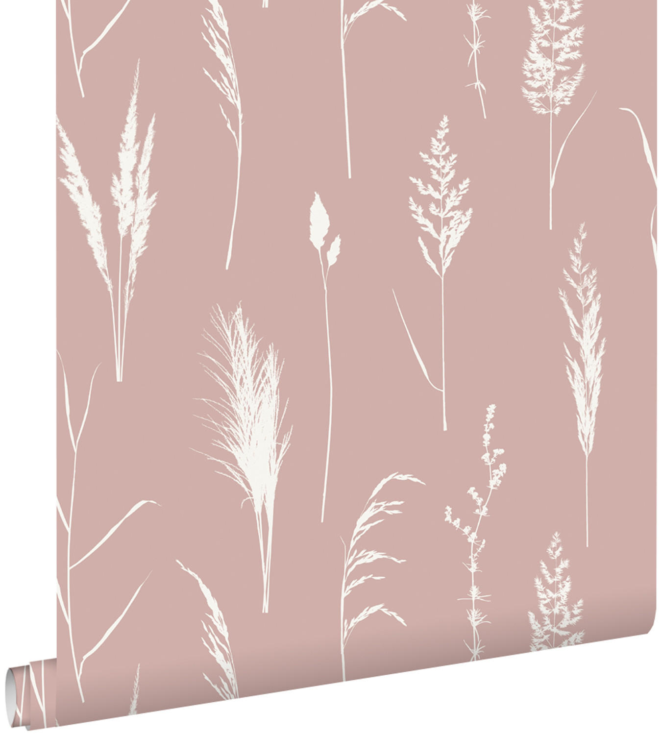 TAPETE Pampasgras 50 x 900 cm - Pink, Papier (50/900cm) - ESTAhome