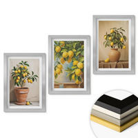 WANDBILDER 3er Set - 20x30 cm Silberner Rahmen - Zitronenbäumchen im Topf und in der Vase - Silberfarben, Kunststoff (20/30cm) - ArtPrintCave