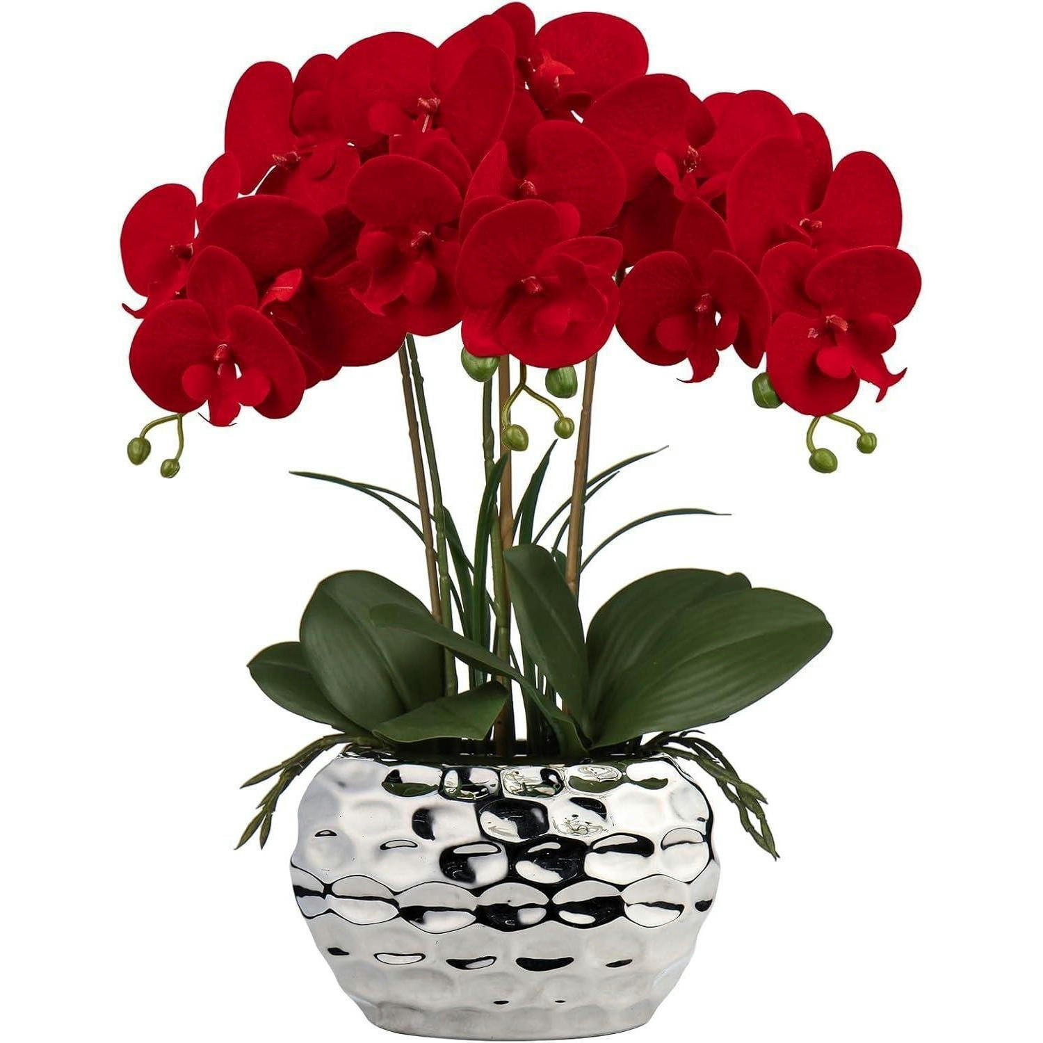 XXXLutz Kunstorchidee Rot 44 cm