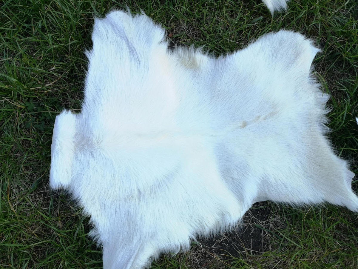 ZIEGENFELL Naturfell weich geruchsneutral Schnäppchen Weiß ca. 60 cm - Weiß, Fell (36/60cm) - Provellus