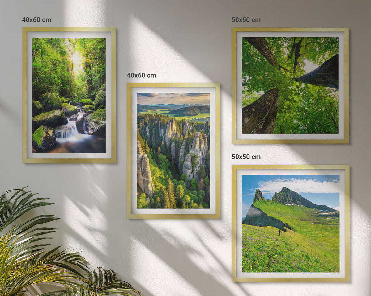 BILDER SET 4er Set - 50x50 cm & 40x60 cm Goldrahmen - Grüne Berge Wasserfallwald - Goldfarben, Kunststoff (50/50cm) - TULUP