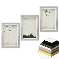 WANDBILDER 3er Set - 20x30 cm Silberner Rahmen - Fliegende Vögel Minimalismus - Silberfarben, Kunststoff (20/30cm) - ArtPrintCave
