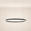 LED-HÄNGELEUCHTE Ring Direkt/Indirekt 5m Schwarz Ø 80cm - Schwarz, Metall (80/80/3.3cm) - s.luce
