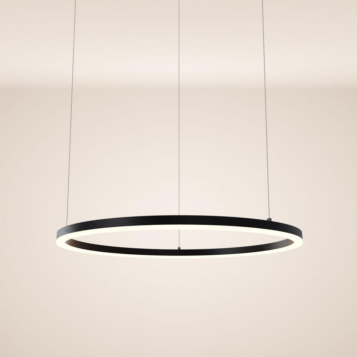 LED-HÄNGELEUCHTE Ring Direkt/Indirekt 5m Schwarz Ø 80cm - Schwarz, Metall (80/80/3.3cm) - s.luce
