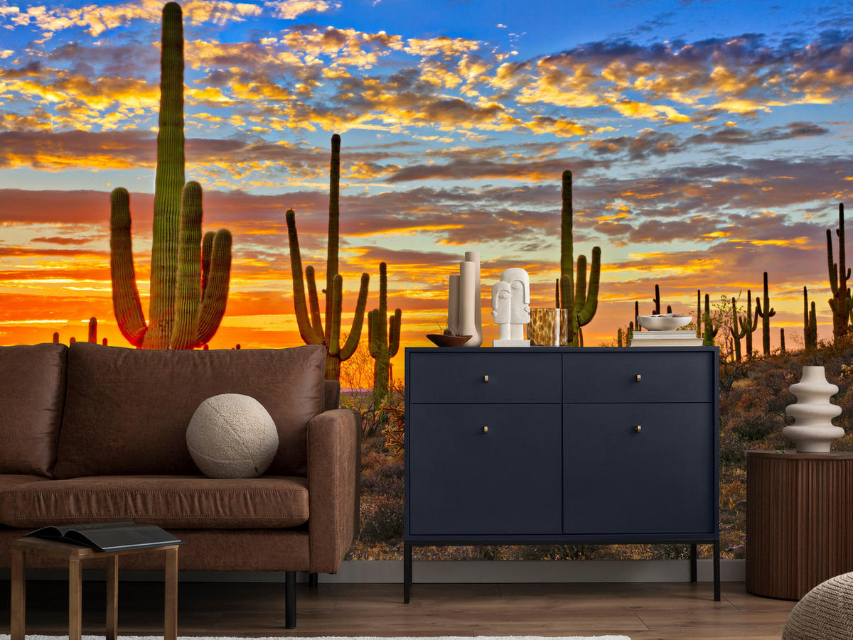 FOTOTAPETE für Wohnzimmer Wüsten Sonnenuntergang Kaktus Pflanzen 250x175 - Gelb/Beige, Papier (250/175cm) - Muralo