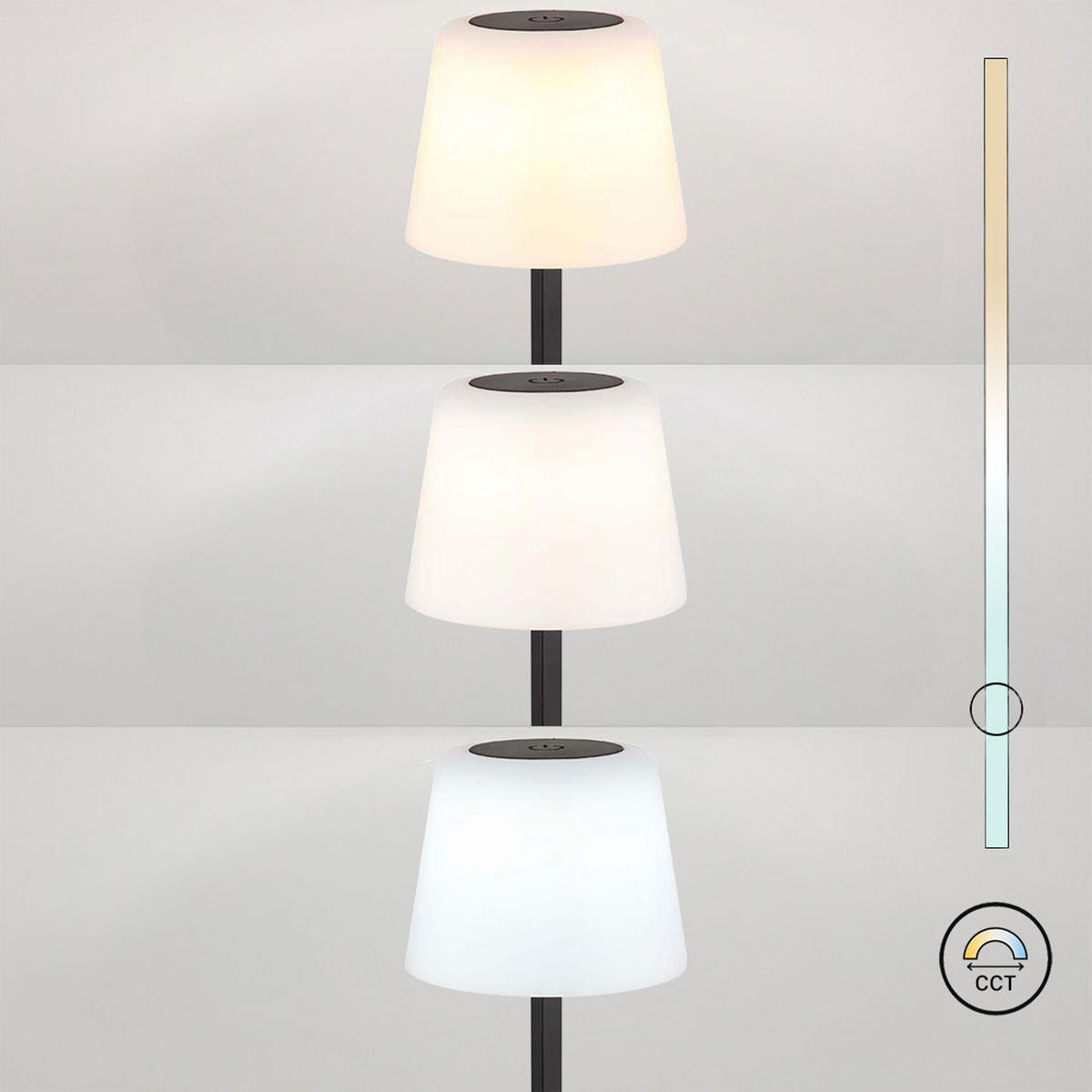 LED TISCHLEUCHTE schwarz Touchdimmer opal - Schwarz, Metall (8.5/8.5/25.5cm) - Globo Lighting