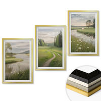 WANDBILDER 3er Set - 40x60 cm Goldrahmen - Sommerliche Flusswiesen voller Blumen - Goldfarben, Kunststoff (40/60cm) - ArtPrintCave