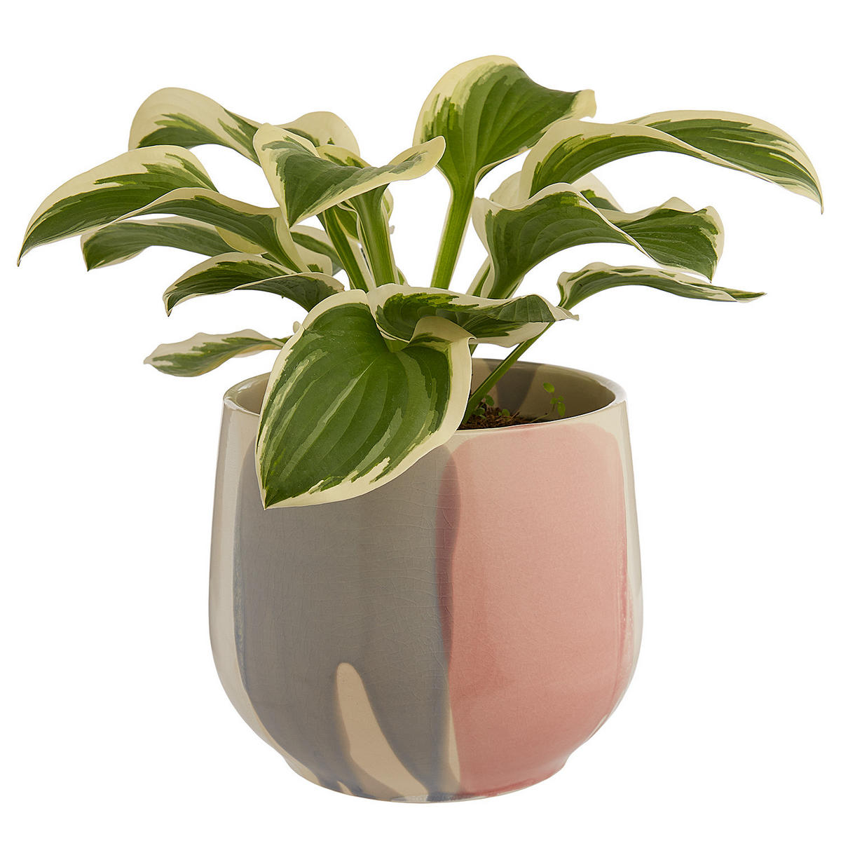 BLUMENÜBERTOPF Sintra - Pink, Keramik (17cm) - Butlers