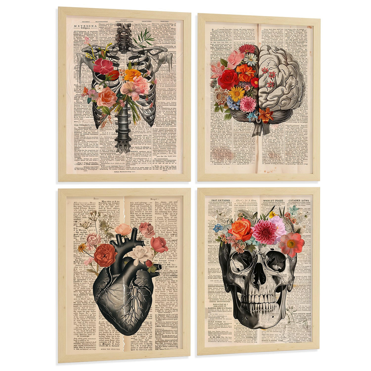 POSTER Set aus 4 Vintage Anatomie Drucke und Wandbilder mit Herz Schädel Skelett und Gehirn Collage Stil Wanddekoration Größe Rahmenlos A4 - Klar, Papier (21/29.7/3cm) - Nacnic