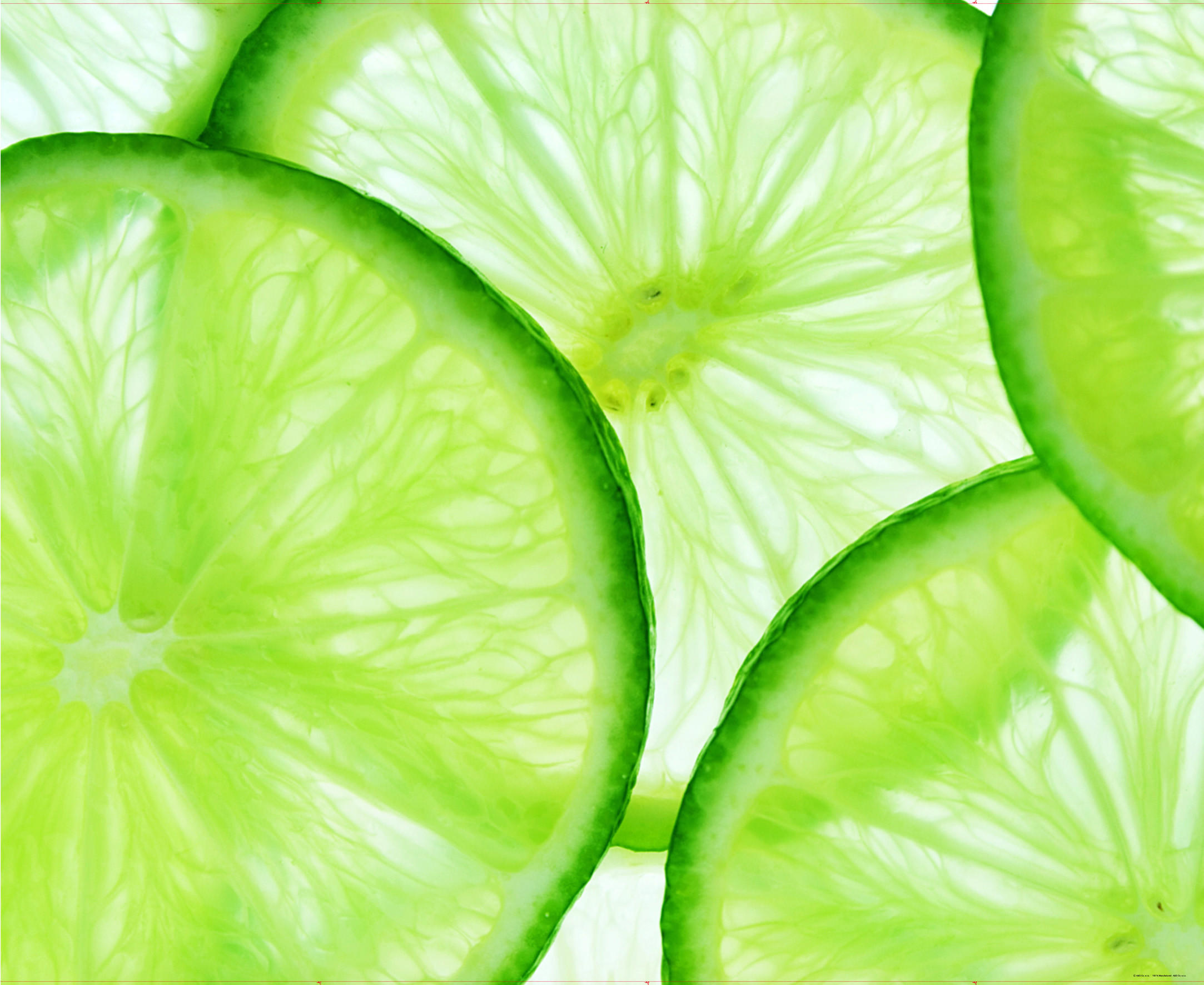 FOTOTAPETE Obst 375 x 270 cm - Grün, Papier (375/270cm) - Sanders & Sanders