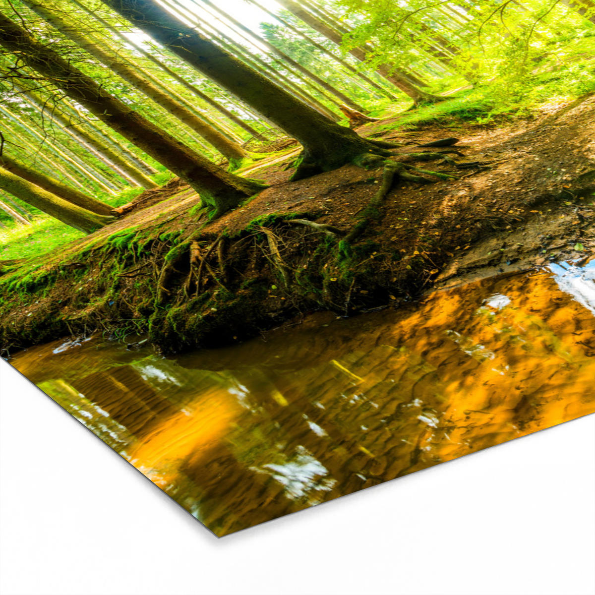POSTER MIT RAHMENGERAHMTES BILD Wald - Landschaft - Wasser - Bäume - Sonne - Grün - Natur 30x20 cm - Grün, Papier (30/20cm) - MuchoWow