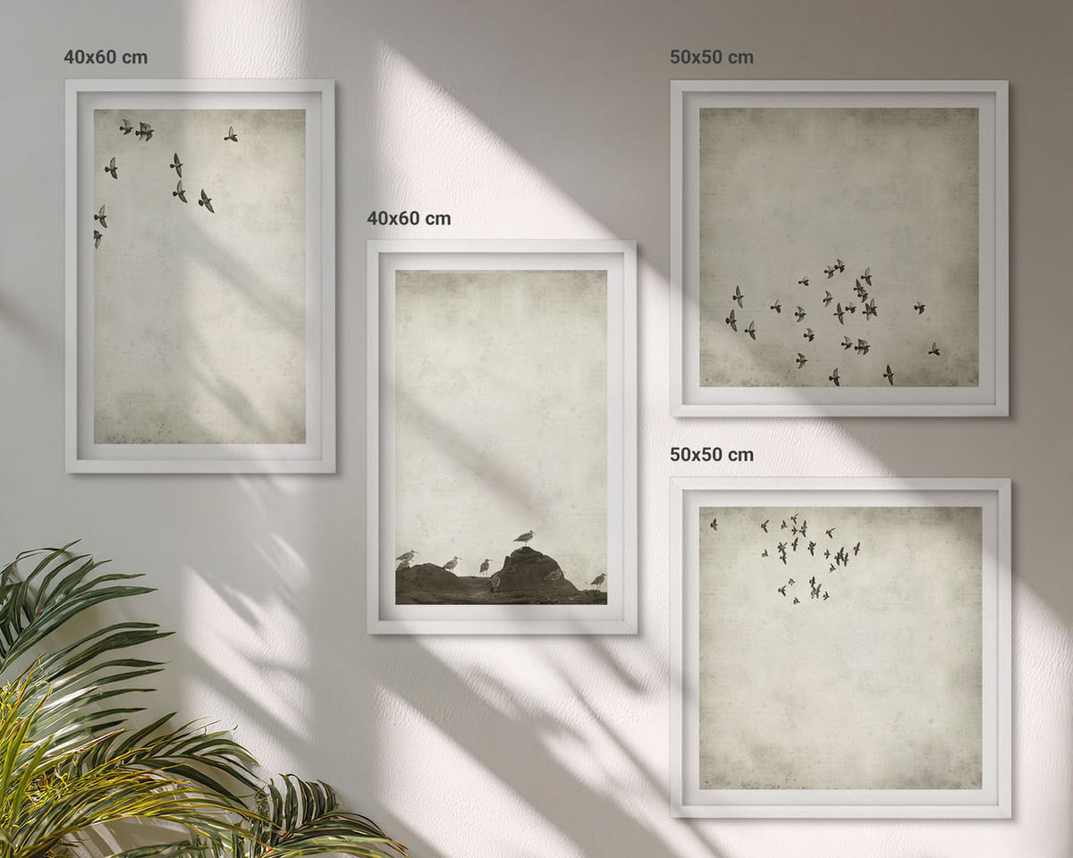 WANDBILDER 4er-Set - 50x50 cm & 40x60 cm Weißer Rahmen - Minimalistische Vogelmalerei - Weiß, Kunststoff (50/50cm) - ArtPrintCave