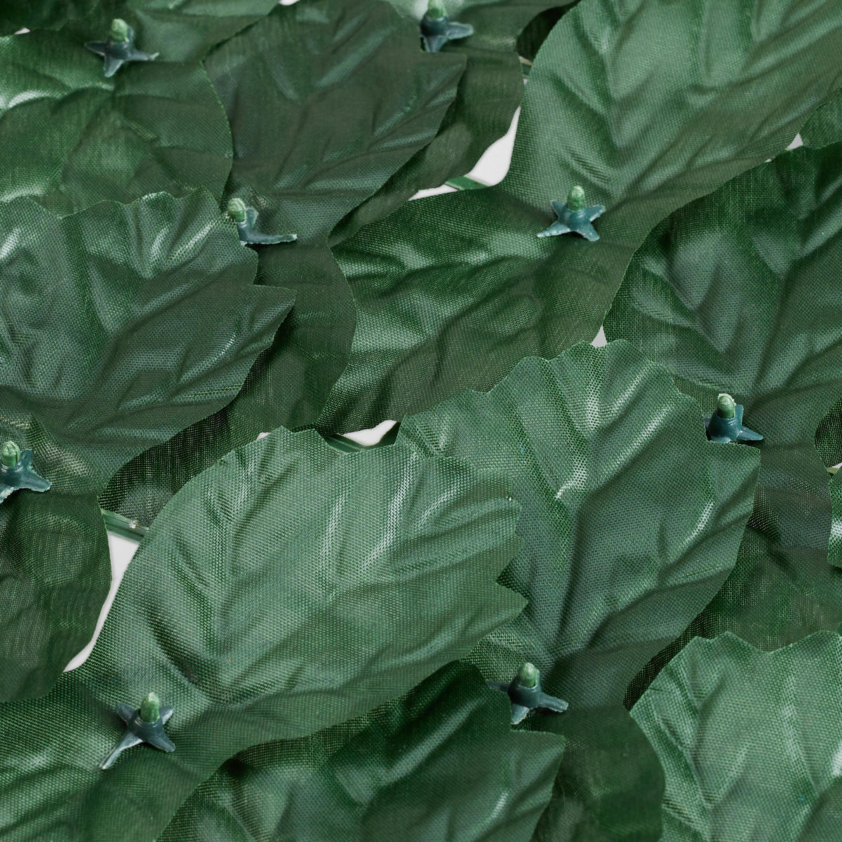 12XZÁSTĚNA na ochranu soukromí - tmavě zelená, textil/plast - Relaxdays