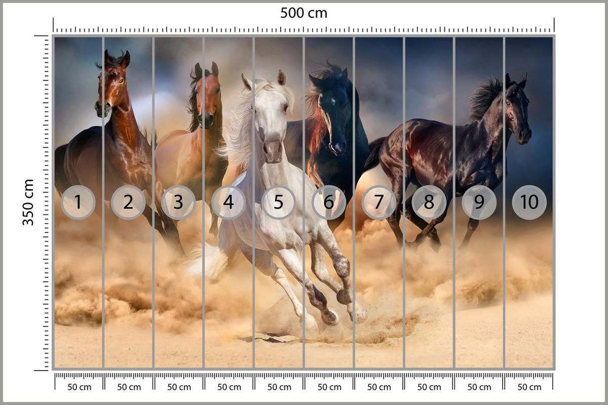 FOTOTAPETE für Schlafzimmer Galoppierende Pferde Wüste Herde 500x350 - Beige/Orange, Papier (500/350cm) - Muralo